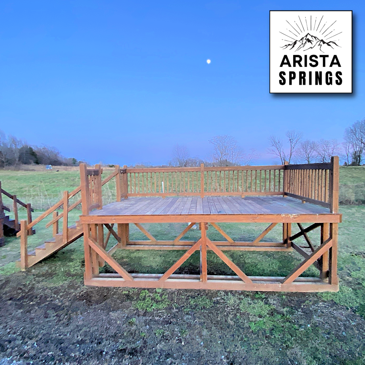 new arrival copy 3(49)