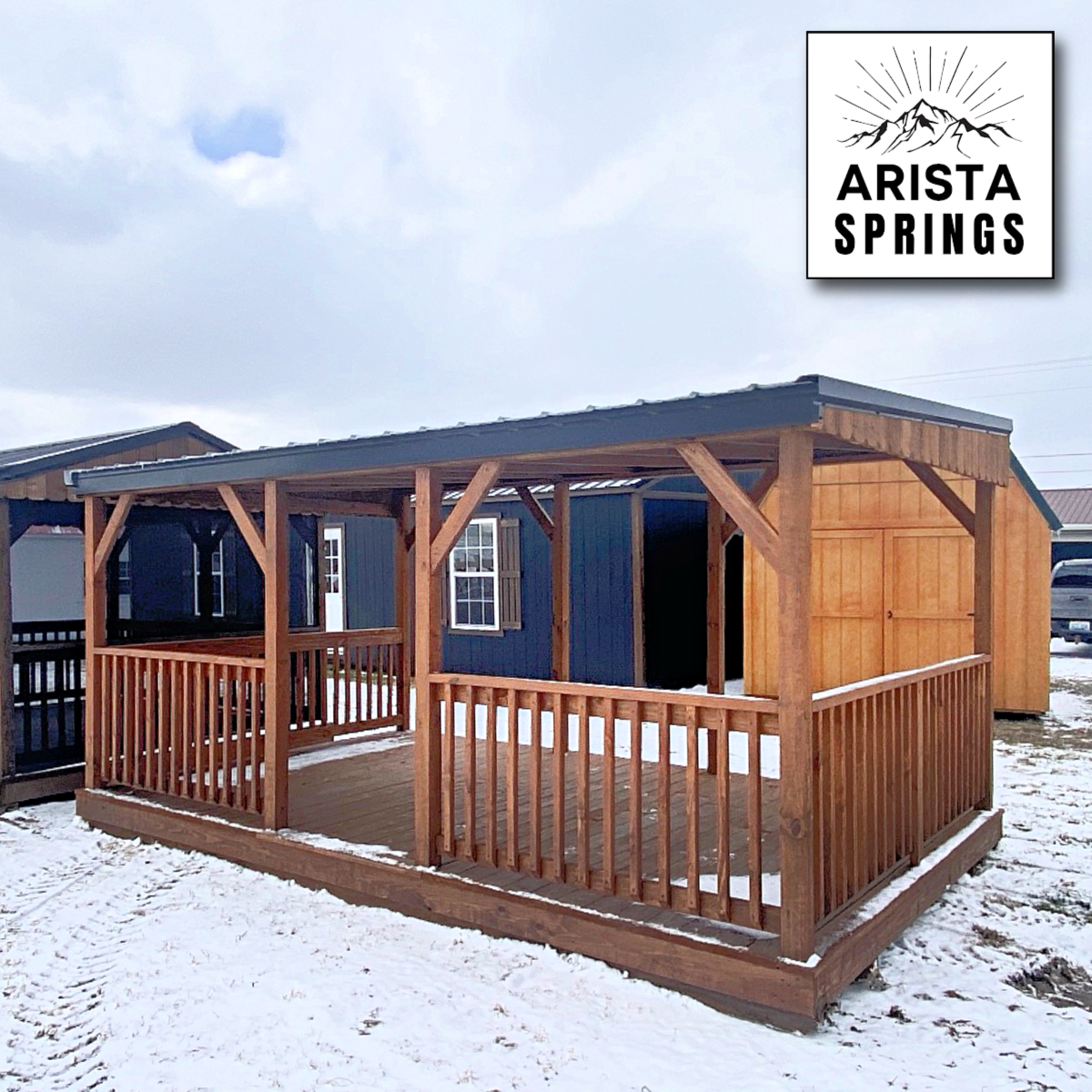 new arrival copy 3(135)