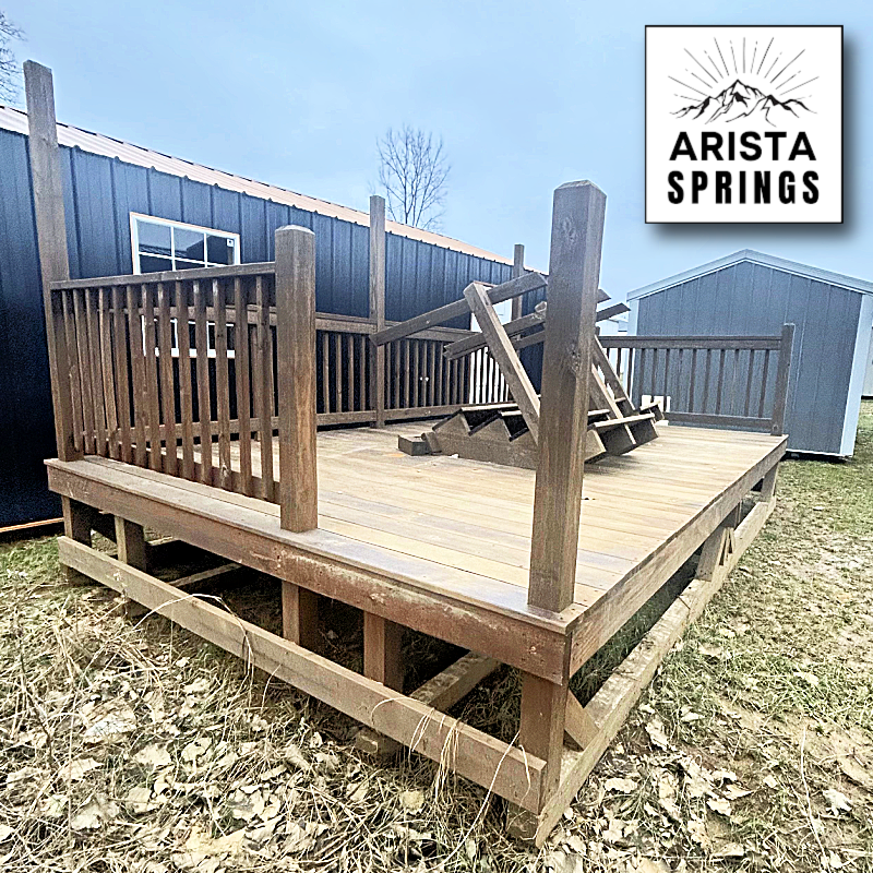 new arrival copy 3(178)